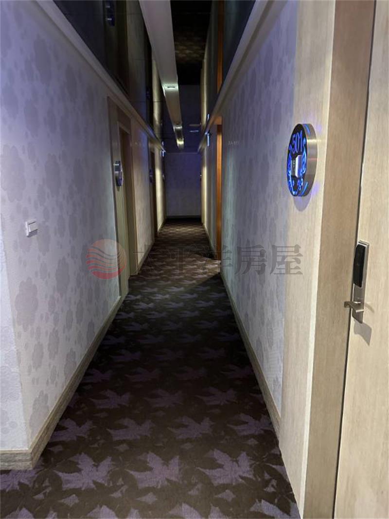 投資首選大坪林17間套房,新北市新店區二十張路