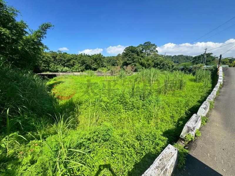 大溪信義段美農地,桃園市大溪區信義段