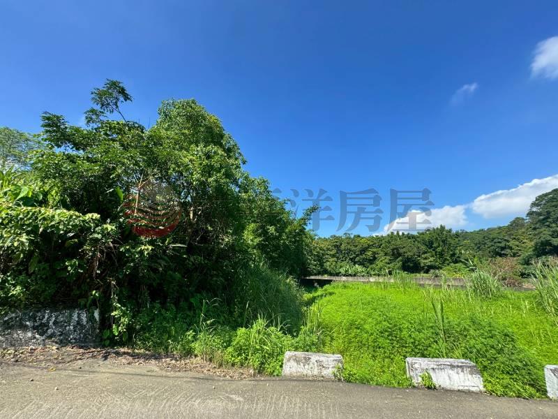 大溪信義段美農地,桃園市大溪區信義段