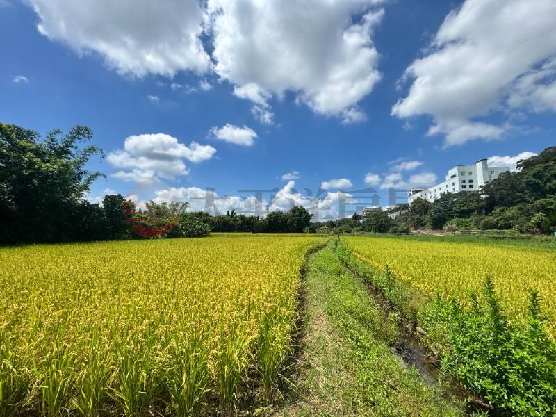 大溪 大圳段農地,桃園市大溪區員東路