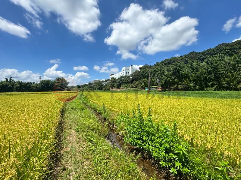 大溪 大圳段農地,桃園市大溪區員東路
