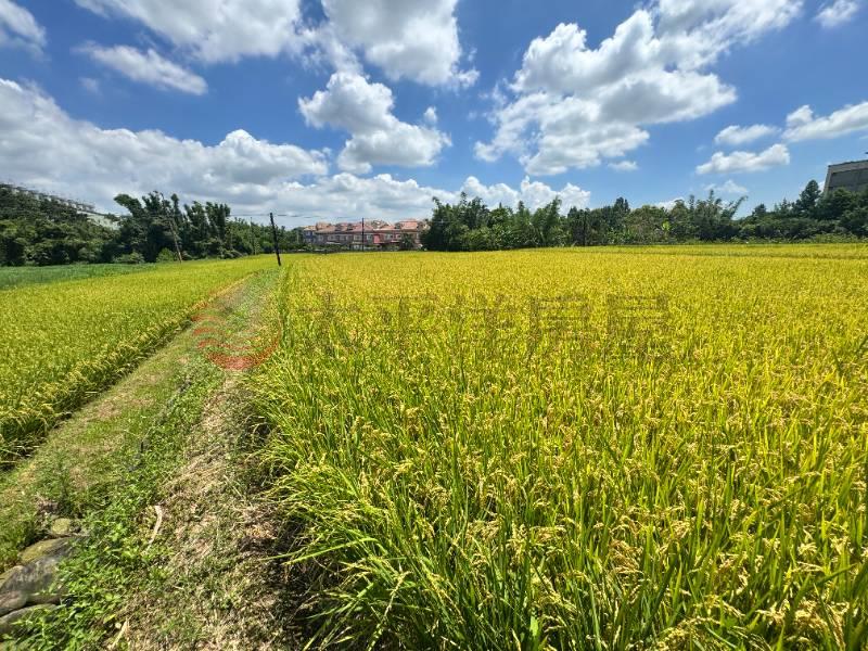 大溪 大圳段農地,桃園市大溪區員東路