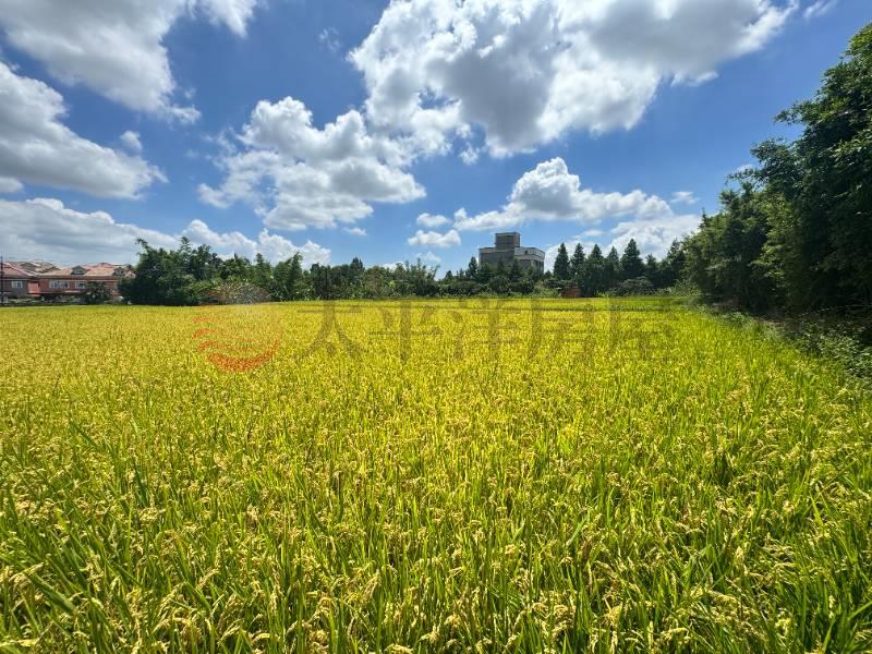 大溪 大圳段農地,桃園市大溪區員東路